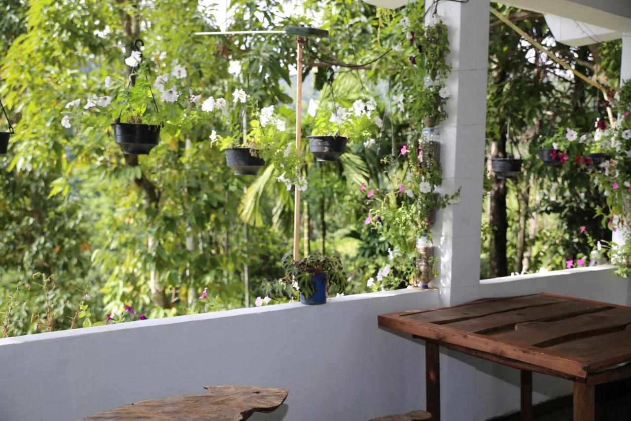 Dream Nest Apartment Ella Bagian luar foto